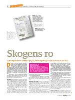dagbladet_sondag-20091011_000_00_00_008.pdf