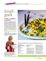 dagbladet_sondag-20091108_000_00_00_028.pdf