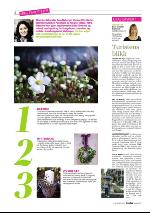 dagbladet_sondag-20091213_000_00_00_004.pdf