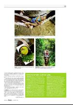 dagbladet_sondag-20091227_000_00_00_035.pdf