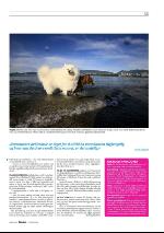 dagbladet_sondag-20100207_000_00_00_035.pdf