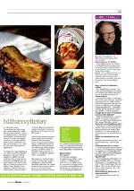 dagbladet_sondag-20100411_000_00_00_025.pdf