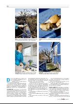 dagbladet_sondag-20100516_000_00_00_014.pdf