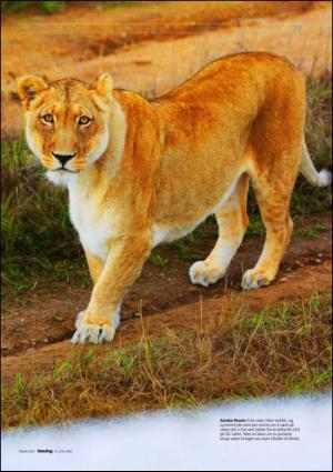 dagbladet_sondag-20100613_000_00_00_033.pdf