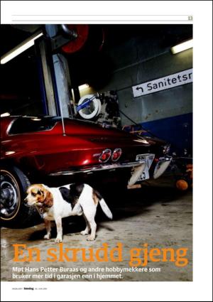 dagbladet_sondag-20100620_000_00_00_013.pdf