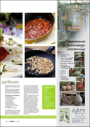 dagbladet_sondag-20100620_000_00_00_027.pdf