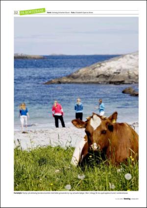 dagbladet_sondag-20100704_000_00_00_032.pdf