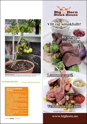 dagbladet_sondag-20101003_000_00_00_017.pdf