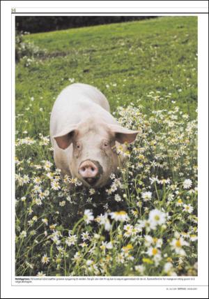 dagbladet_sondag-20110724_000_00_00_014.pdf
