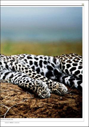 dagbladet_sondag-20120115_000_00_00_033.pdf
