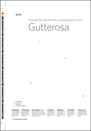 dagbladet_sport-20060129_000_00_00_008.pdf