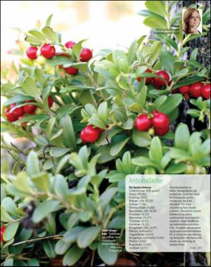 dagbladet_torsdag-20120927_000_00_00_009.pdf