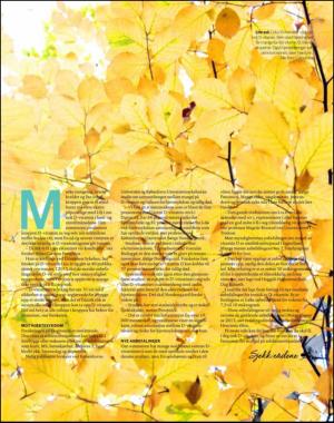 dagbladet_torsdag-20121108_000_00_00_031.pdf