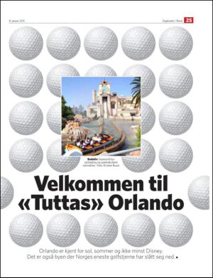 dagbladet_torsdag-20130108_000_00_00_025.pdf