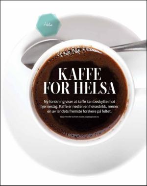 dagbladet_torsdag-20130131_000_00_00_030.pdf