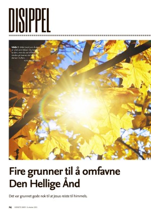 dagen_ks-20211008_000_00_00_024.pdf