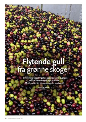 dagen_ks-20211217_000_00_00_016.pdf
