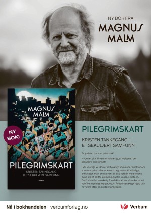 dagen_ks-20220617_000_00_00_003.pdf