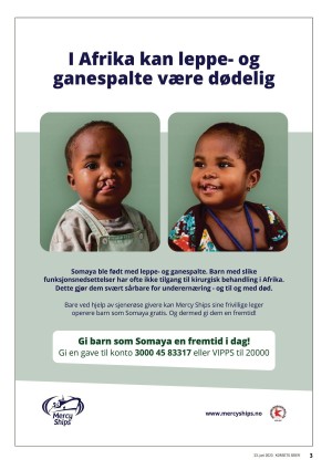 dagen_ks-20230623_000_00_00_003.pdf