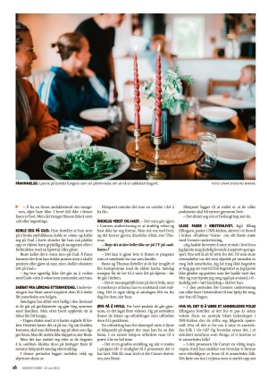 dagen_ks-20240622_000_00_00_016.pdf