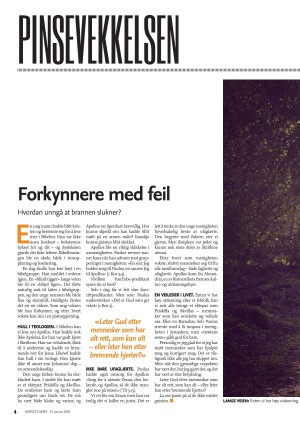 dagen_ks-20260131_000_00_00_004.pdf