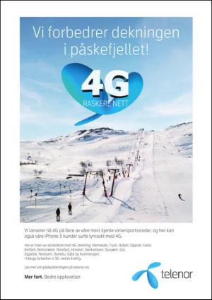 dagensnaringsliv-20130316_000_00_00_011.pdf