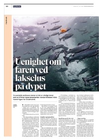 dagensnaringsliv-20250714_000_00_00_022.pdf