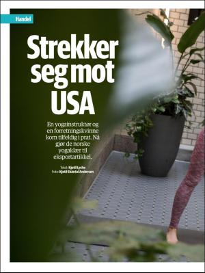 dagensnaringsliv_bilag-20171017_000_00_00_012.pdf
