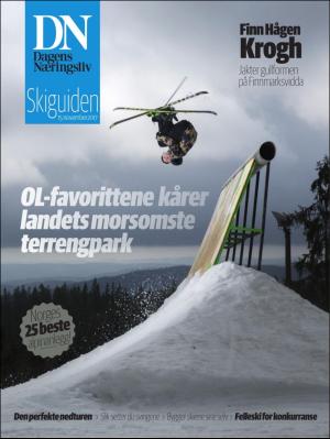 Dagens Næringsliv Bilag 15.11.17