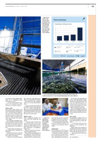 dagensnaringsliv_bilag-20250201_000_00_00_029.pdf