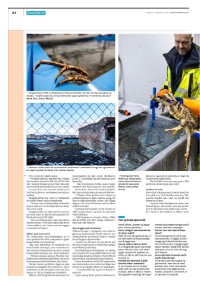 dagensnaringsliv_bilag-20250201_000_00_00_034.pdf