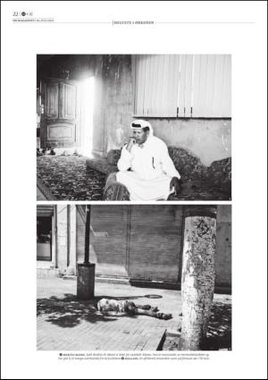 dagensnaringsliv_lordag-20130720_000_00_00_022.pdf