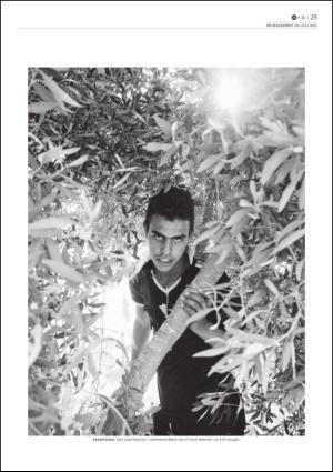 dagensnaringsliv_lordag-20130720_000_00_00_025.pdf