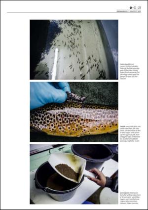 dagensnaringsliv_lordag-20150808_000_00_00_021.pdf