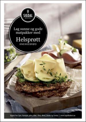 dagensnaringsliv_lordag-20150822_000_00_00_003.pdf