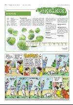 dagligvarehandelen-20081030_000_00_00_022.pdf