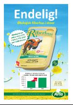 dagligvarehandelen-20090204_000_00_00_013.pdf