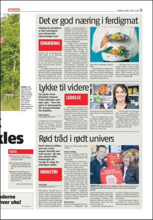 dagligvarehandelen-20130412_000_00_00_013.pdf