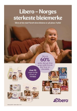 dagligvarehandelen-20250325_008_00_00_003.pdf
