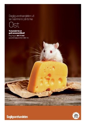 dagligvarehandelen-20250916_020_00_00_045.pdf