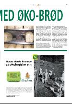 dagligvarehandelen_bilag-20040608_000_00_00_007.pdf