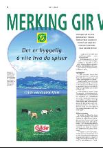 dagligvarehandelen_bilag-20050531_000_00_00_006.pdf