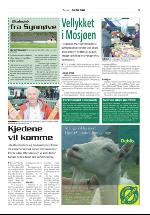 dagligvarehandelen_bilag-20060905_000_00_00_009.pdf