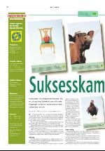 dagligvarehandelen_bilag-20061128_000_00_00_002.pdf