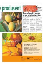 dagligvarehandelen_bilag-20061128_000_00_00_011.pdf