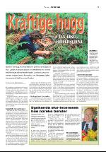 dagligvarehandelen_bilag-20070213_000_00_00_003.pdf