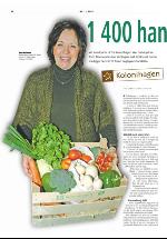 dagligvarehandelen_bilag-20070213_000_00_00_004.pdf