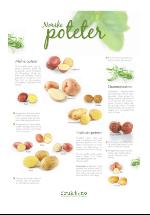 dagligvarehandelen_bilag-20071106_000_00_00_007.pdf