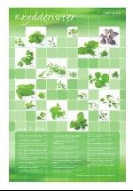 dagligvarehandelen_bilag-20071106_000_00_00_016.pdf