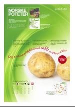 dagligvarehandelen_bilag-20081009_000_00_00_007.pdf